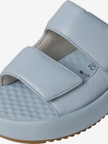 TAMARIS Pantolette in Blau