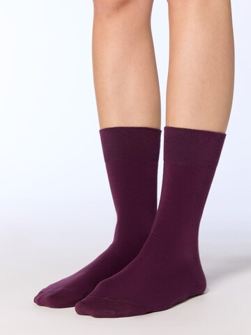 Albero Natur Socks '6er Pack Unisex hochwertige Socken mit längerem Bündchen' in Purple: front