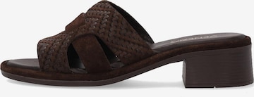 VENEZIA Mules 'Venezia' in Brown: front