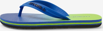 O'NEILL Beach & Pool Shoes 'Profile' in Blue: front