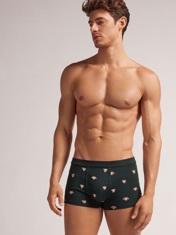 INTIMISSIMI Pants in Grün: Vorderseite