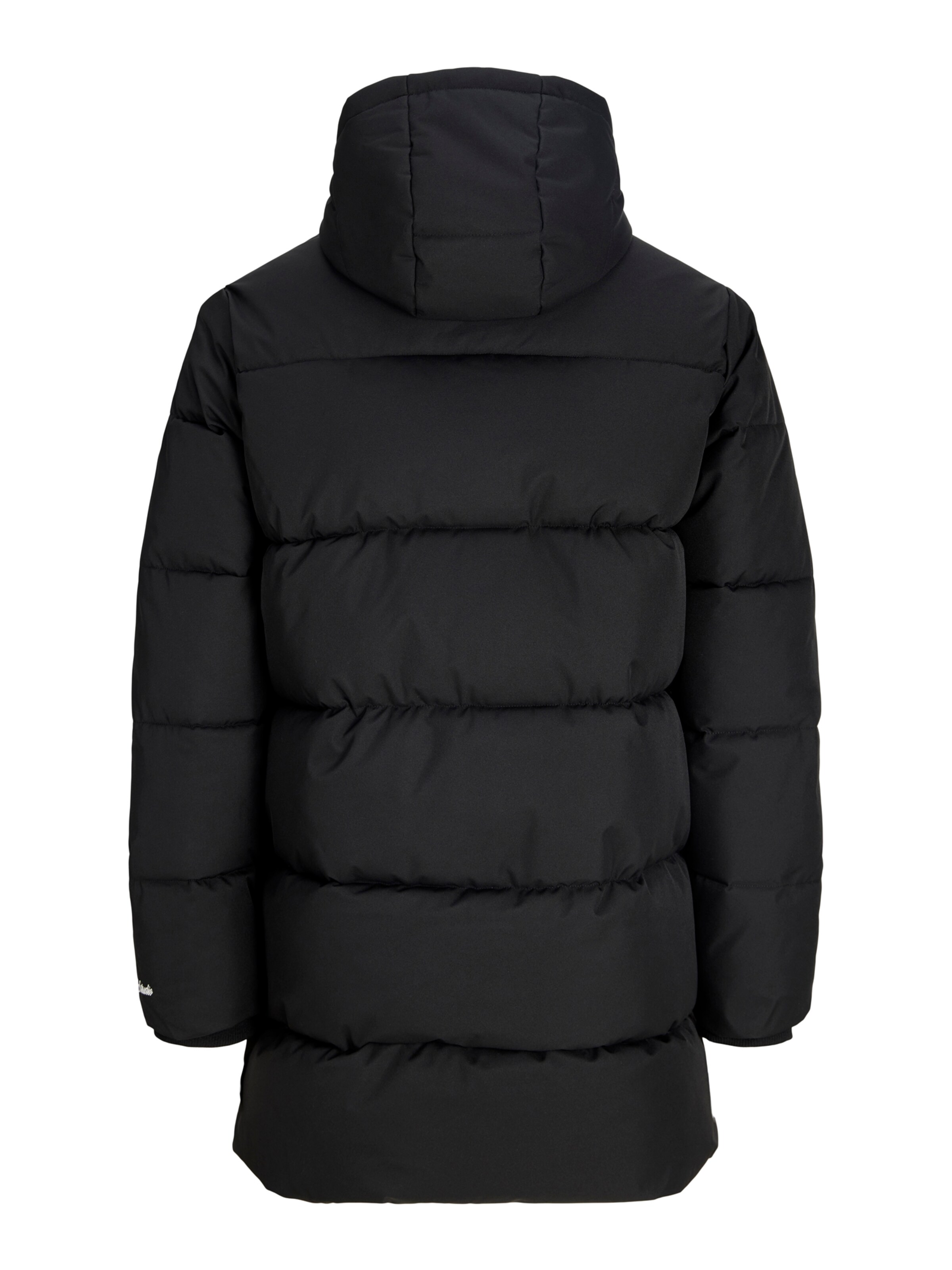 JACK & JONES Winterjas 'JORNORREBRO' in Zwart