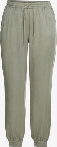 SHEEGO Tapered Pants in Green: front