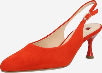 raudona Högl Basutės: priekis