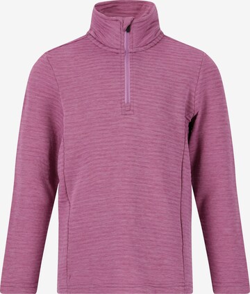 ZigZag Athletic Sweater 'Pineapple' in Purple: front