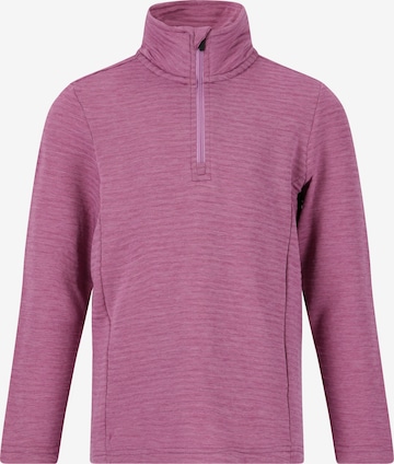 ZigZag Athletic Sweater 'Pineapple' in Purple: front