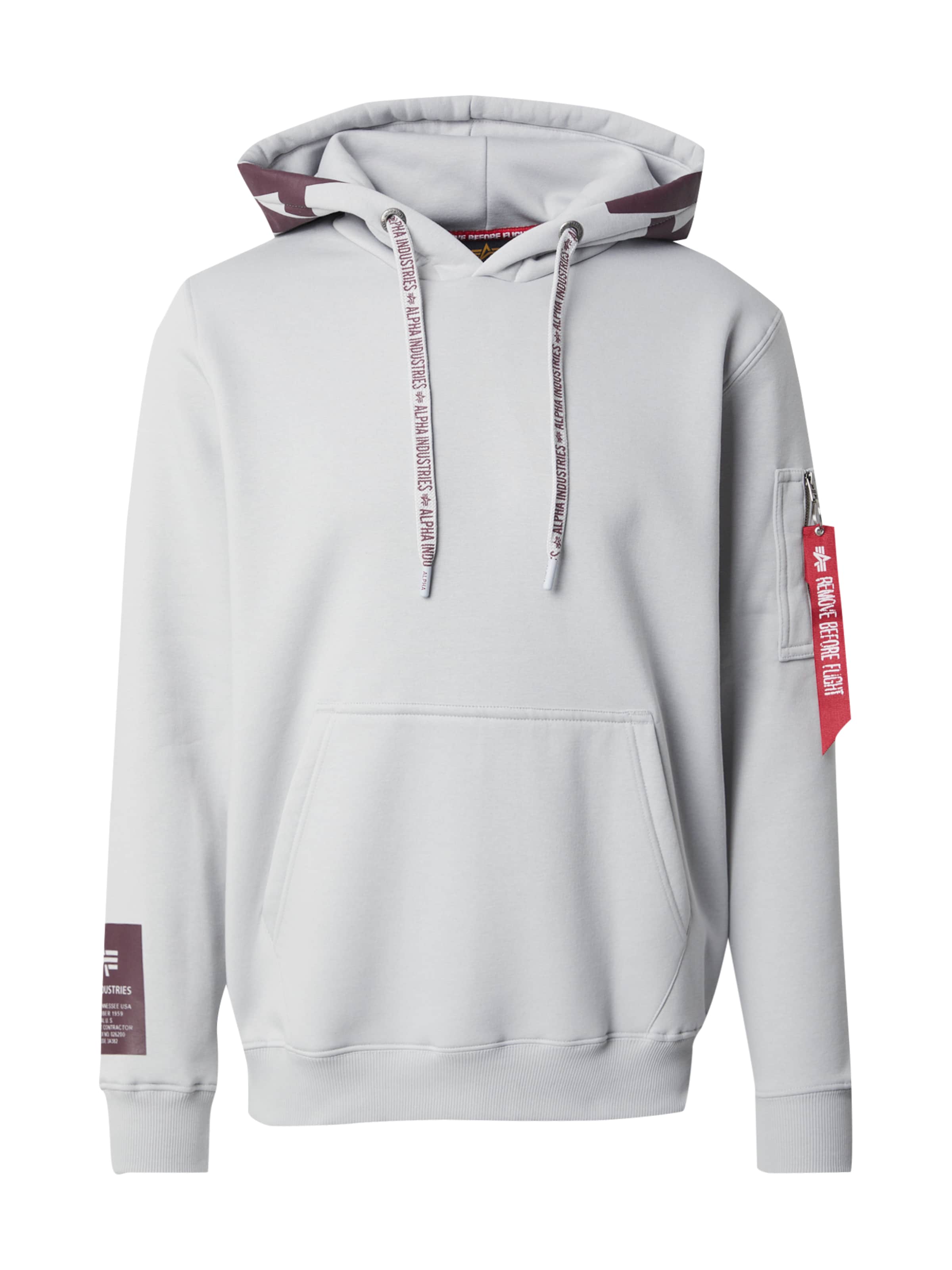 Sweat-shirt ALPHA INDUSTRIES en gris : devant
