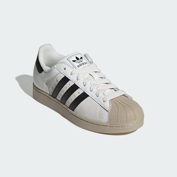 ADIDAS ORIGINALS - Sapatilhas baixas 'Superstar II' em branco