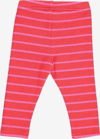 regular Leggings di Fred's World by GREEN COTTON in rosso