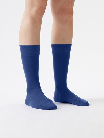 Von Jungfeld Socks 'Colour' in Blue