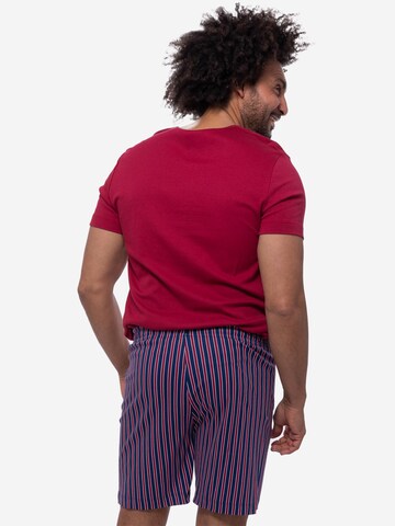 Mey Pajama short 'Graphic Stripes' in Red