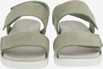 Legero Sandals in Green