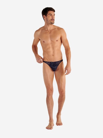 Slip ' Purple ' HOM en bleu