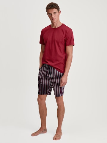 CALIDA Shirt‌‌‌‌‌‌ in Rot