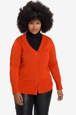 Ulla Popken Knit Cardigan in Orange: front