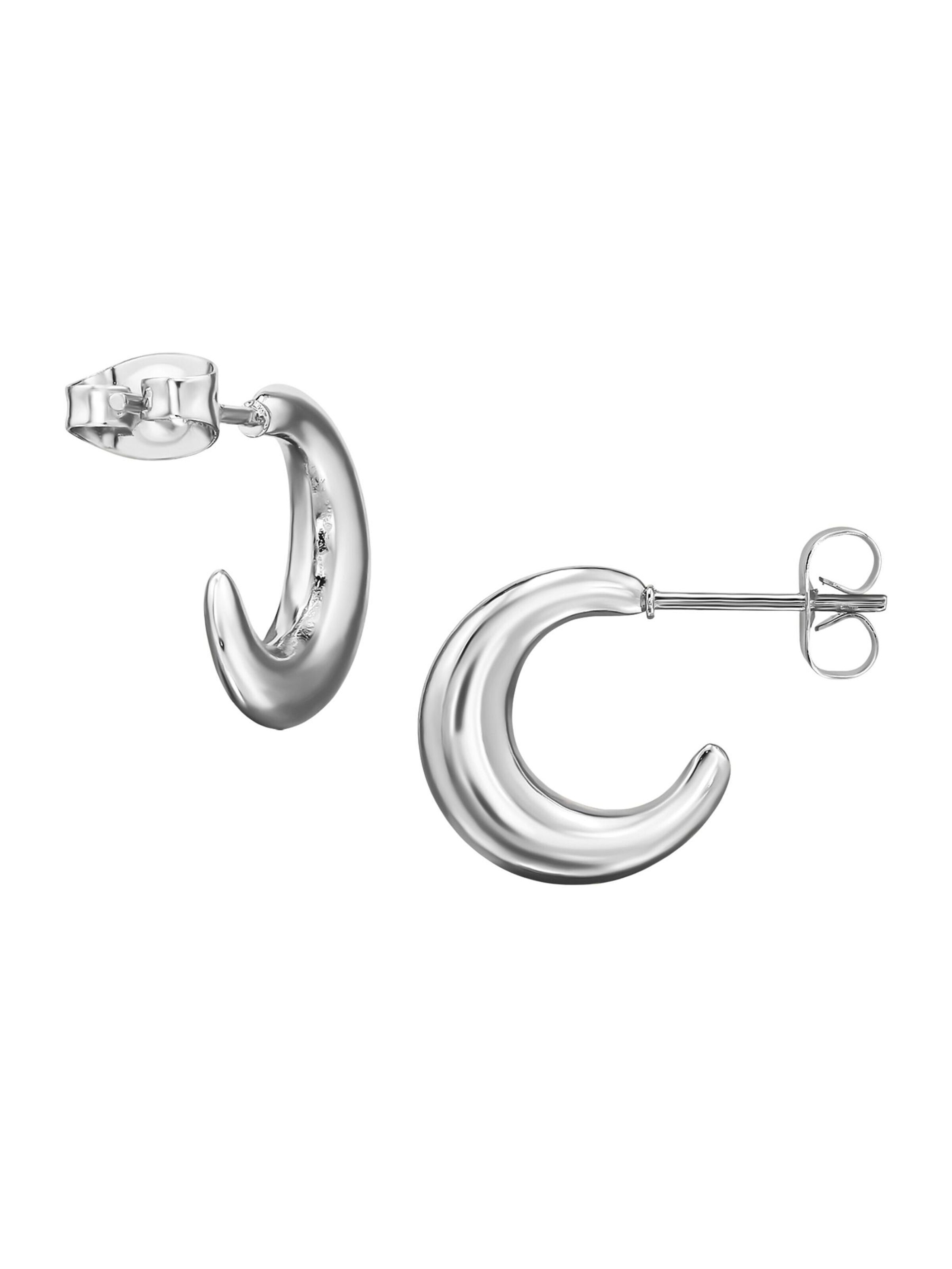 Maxte Earrings in Silver