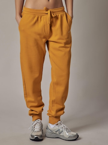 Pantaloni 'Felpati' di OWN Off With Nature in marrone: frontale