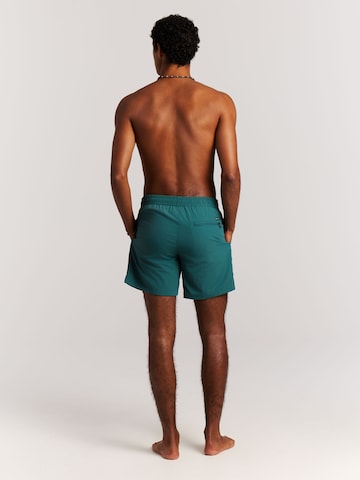 PROTEST Badeshorts 'Faster'‌‌‌ in Grün