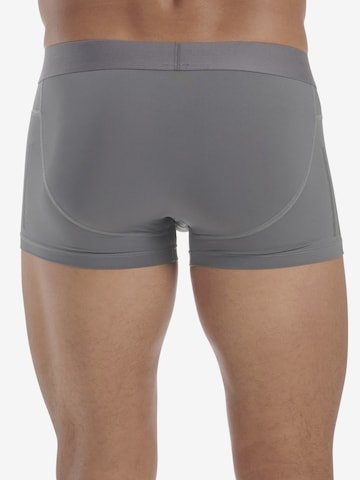 ADIDAS SPORTSWEAR Athletic Underwear ' Active Micro Flex ' in Grey