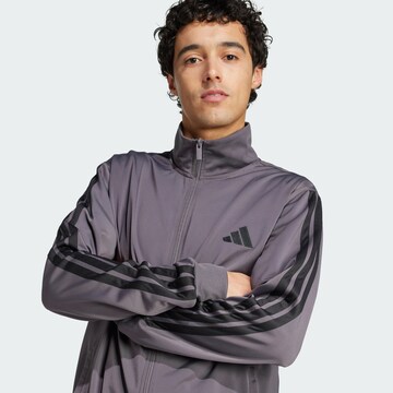 ADIDAS SPORTSWEAR Tracksuit '3-Stripes' in Grey