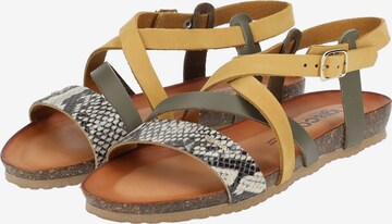 IGI&CO Strap Sandals in Yellow