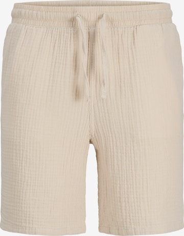 Pantaloni 'JREBJASON PATRICK' di JJ Rebel in beige: frontale