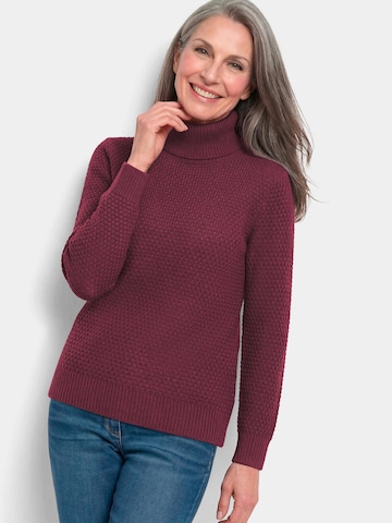 Goldner Sweater in Purple: front