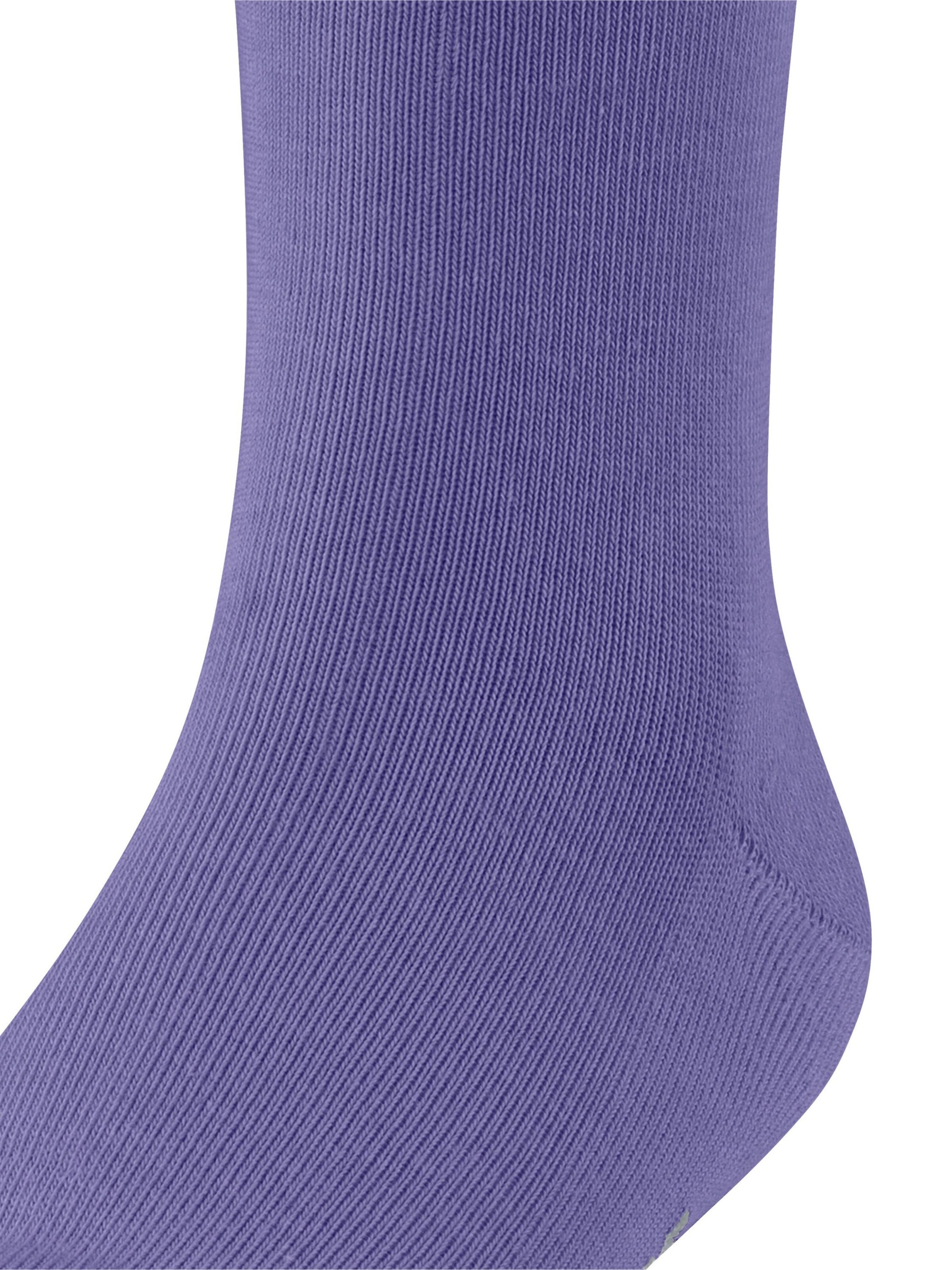 FALKE Socks 'Family' in Purple