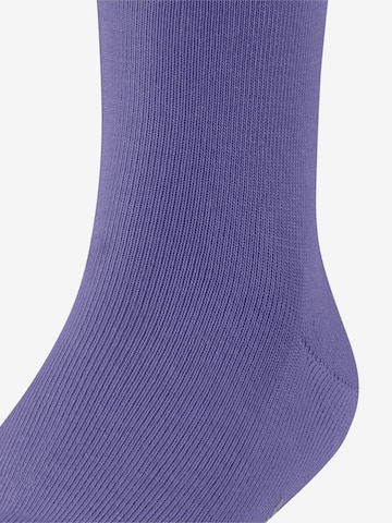FALKE Socks 'Family' in Purple: front