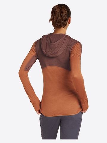 ICEBREAKER Tussenjas 'W Mer 200 Realfleece Descender LS Zip H' in Groen