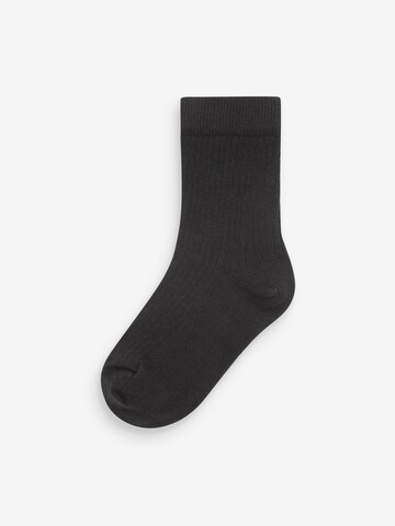 Next Socks in Beige