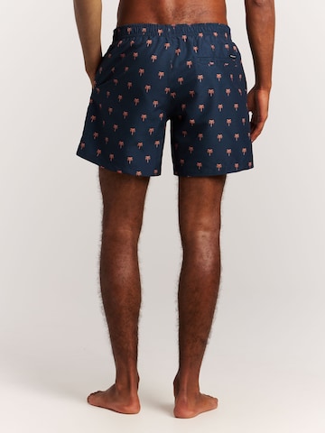 PROTEST Badeshorts 'PRTMascot'‌‌‌‌‌‌‌‌‌‌ in Blau