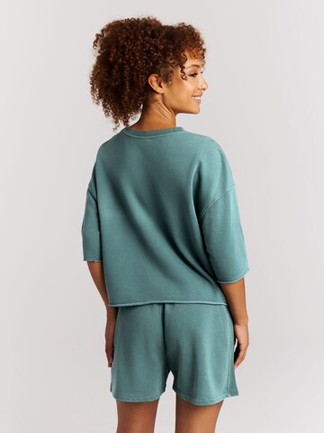 PROTEST Shirt 'PRTMayte' in Green