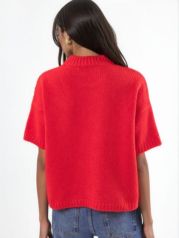 Hiccup Sweater in Red