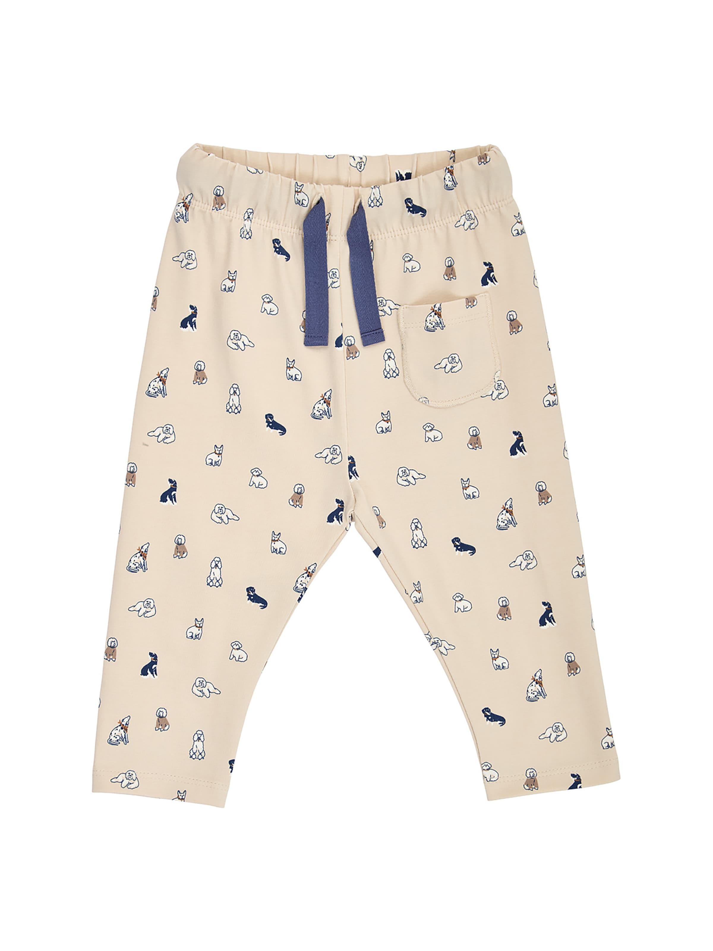 Müsli Regular Pants in Beige: front