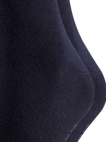 FALKE Socks 'Swing 2-Pack' in Blue