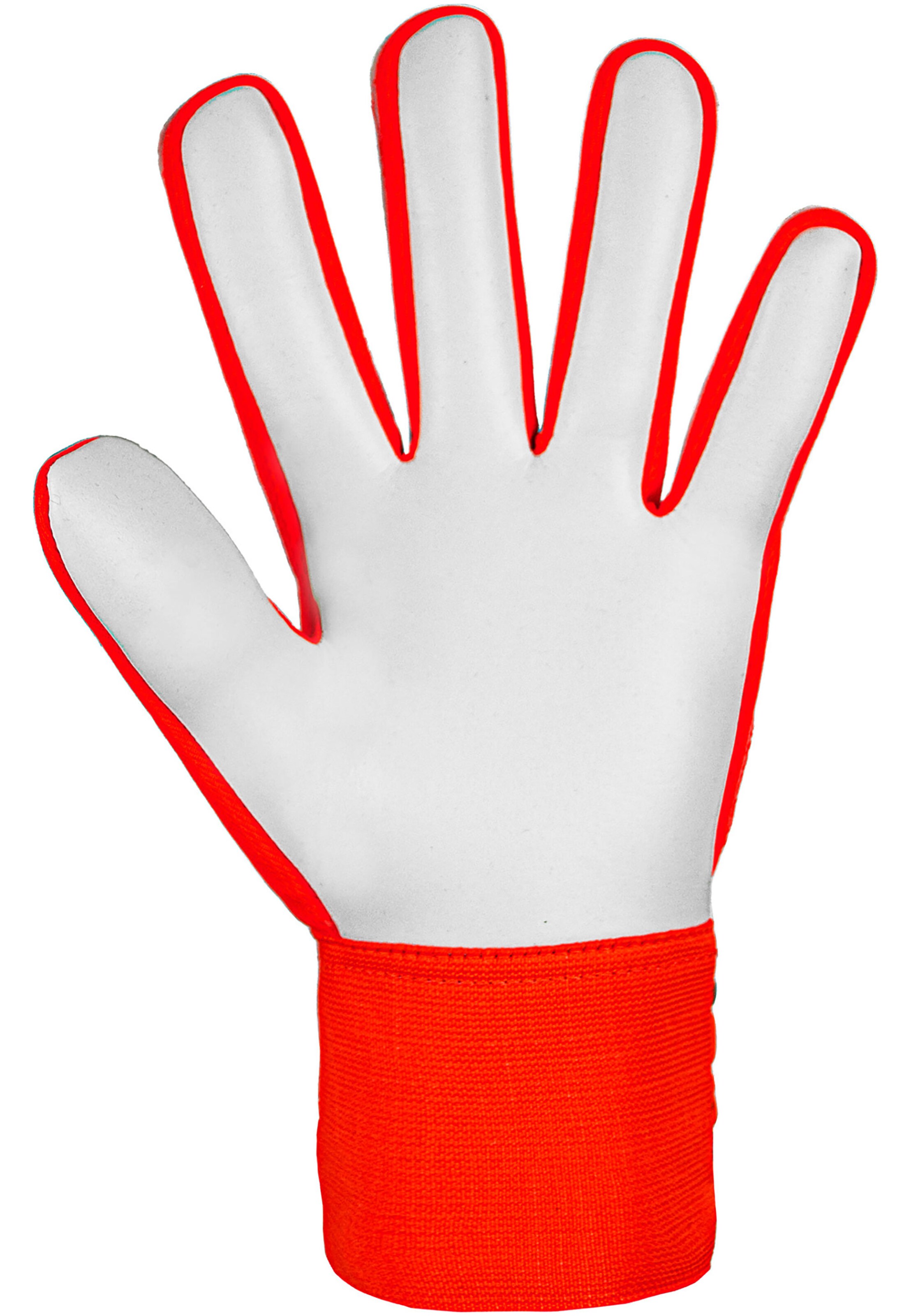 REUSCH Sports gloves 'Attrakt Starter Solid' in Orange