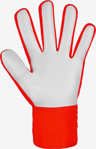 REUSCH Athletic Gloves 'Attrakt Starter Solid' in Orange