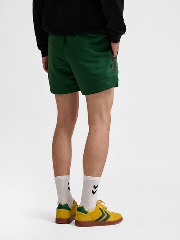 Hummel Board shorts 'Ned' in Green