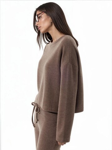 Busem Pulover 'Pullover' | rjava barva