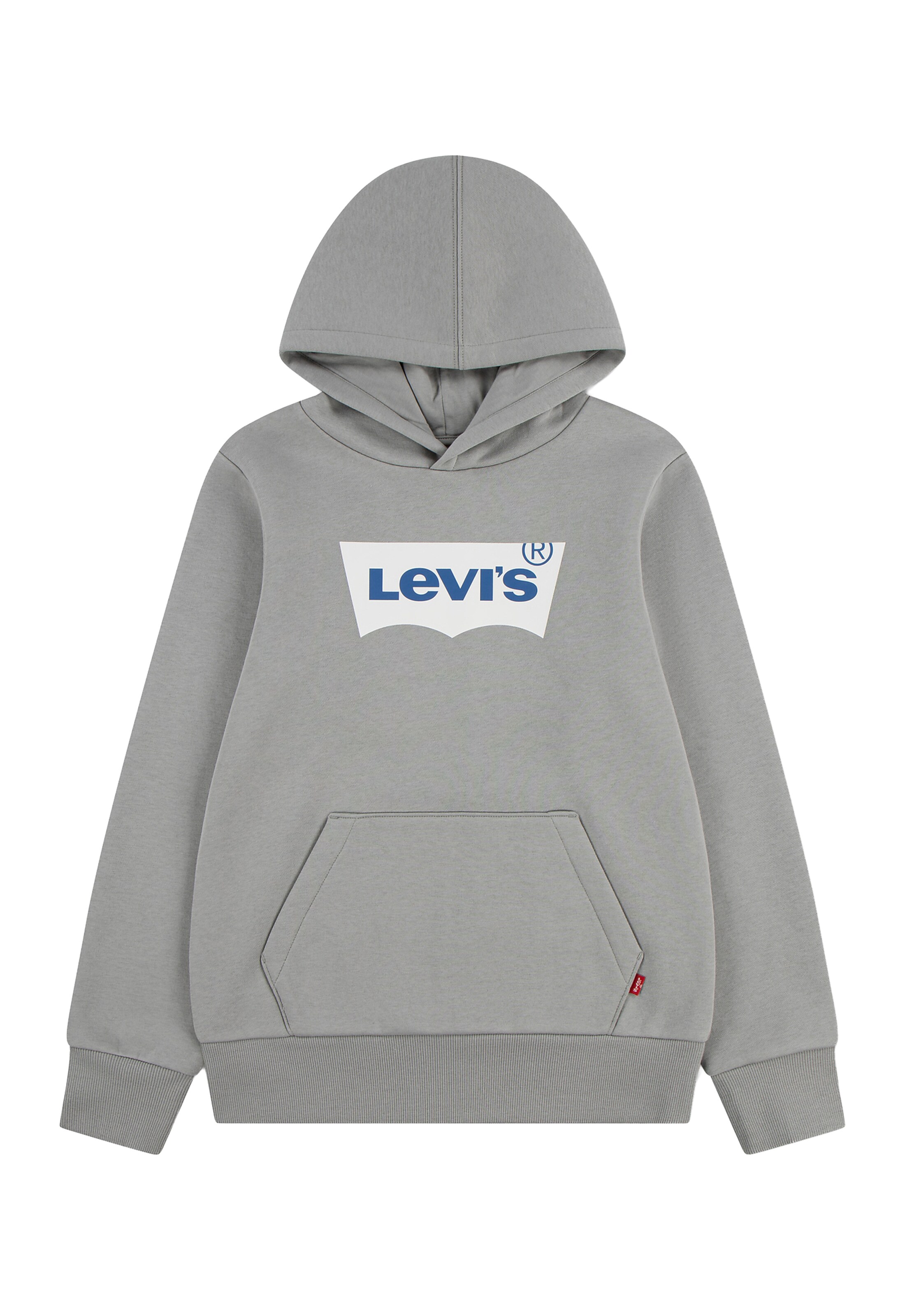 Levi's Kids Средняя посадка Свитшот 'BATWING' в Серый: спереди