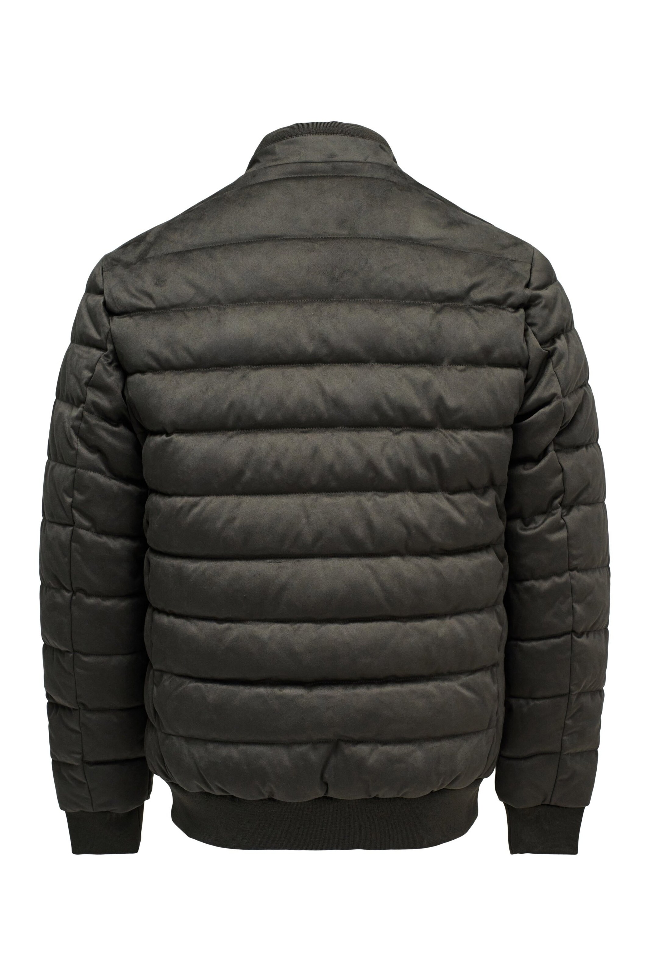 Veste d’hiver Salsa Jeans en vert