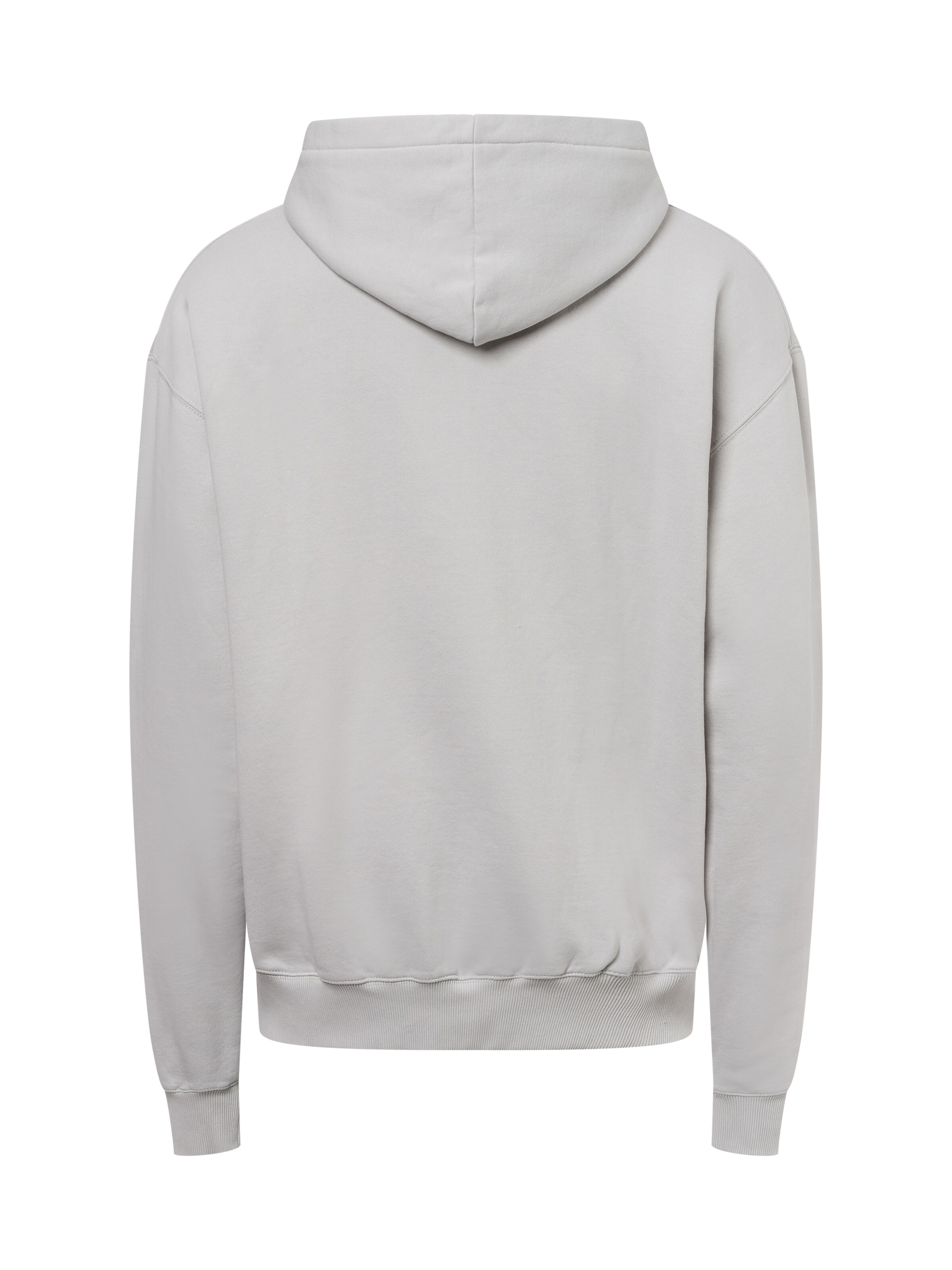 Pegador Sweatshirt ' Logo ' in Grijs