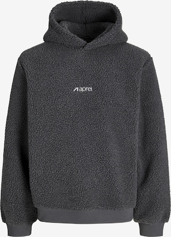 Sweat-shirt aprel en gris : devant