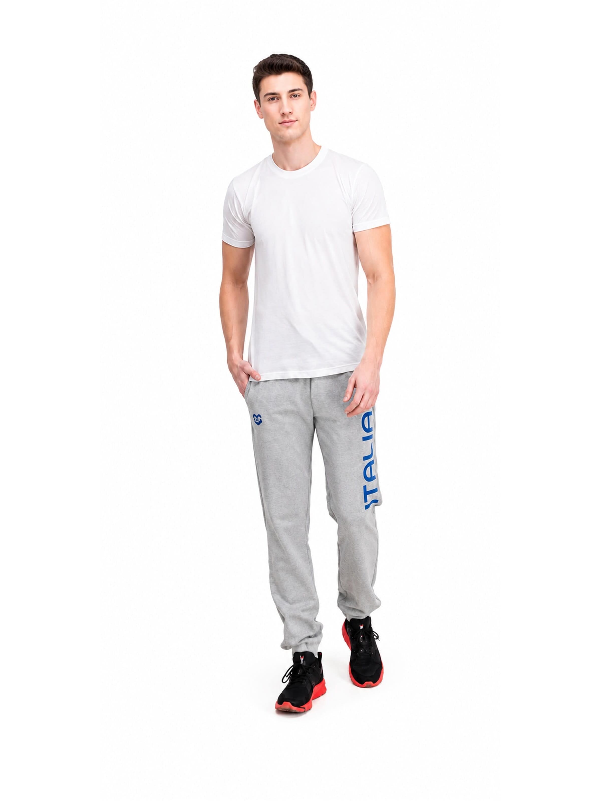 ARENA Regular Workout Pants in Grey
