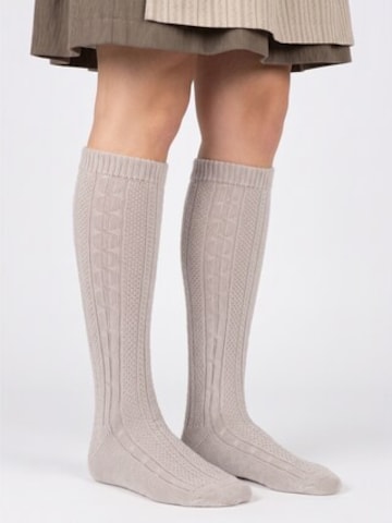 celodoro Knee High Socks 'Tradition' in Beige: front