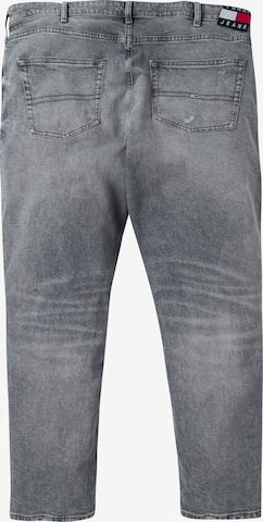 Tommy Jeans Plus Regular Jeans in Grey