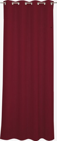 ESPRIT Curtains & Drapes in Red: front