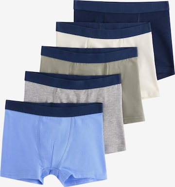 mėlyna Lindex Apatinės kelnaitės: priekis