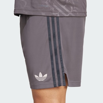 ADIDAS PERFORMANCE Regular Sporthose 'Real Madrid 24/25' in Braun